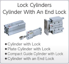 Lock Cylinders/Cylinder with An End Lock
